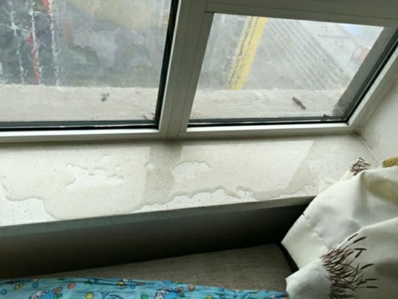 窗戶(hù)滲漏維修